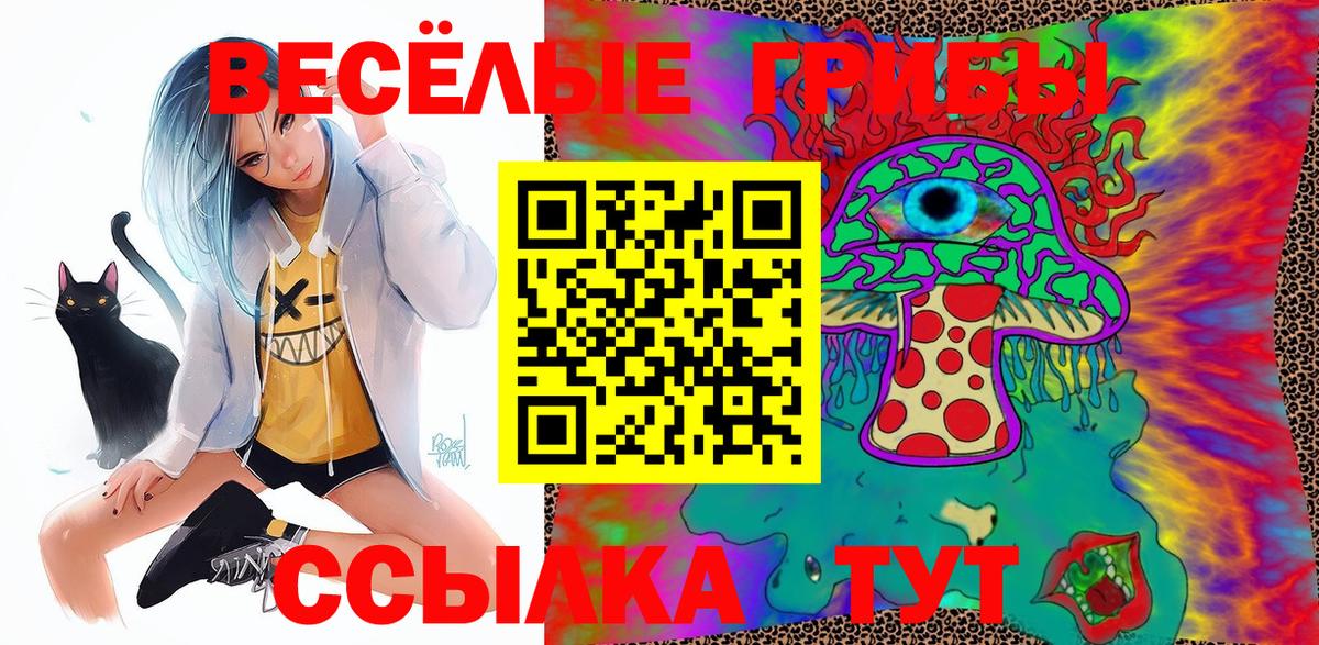 Псилоцибиновые грибы Psilocybe Губкин