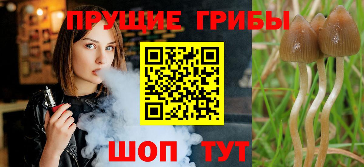 Губкин  Псилоцибиновые грибы Psilocybine cubensis  Галлюциногенные грибы мухоморы  Вход с VPN 